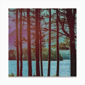 Through the Trees Canvas Print