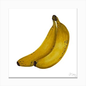 Bananas Canvas Print