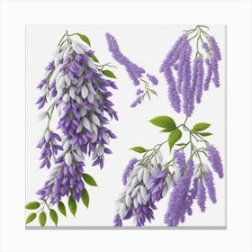 Wisteria Flowers myluckycharm Canvas Print