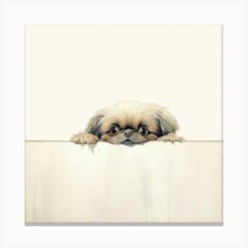 Pekingese 1 Canvas Print