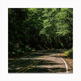 Winding Road Square Canvas Print