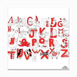 Animal Alphabet Square Canvas Print
