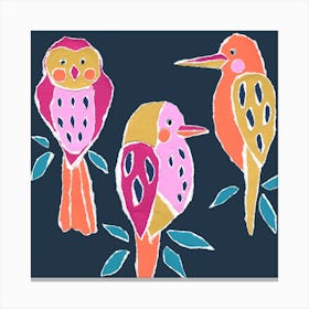 Bird Trio Canvas Print