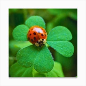 Ladybird on Clover Canvas Print