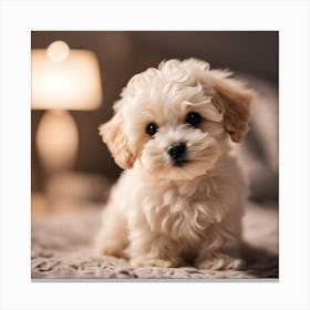 Brownie dog Canvas Print