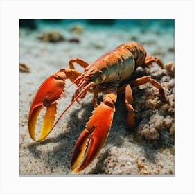 Lobster On The Beach Canvas Print