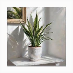 Snake Plant Canvas Print