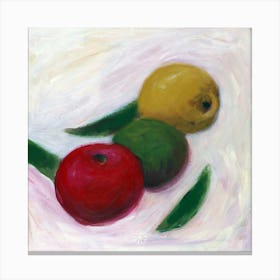 Three Apples Canvas Print