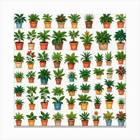 Houseplants In Pots Canvas Print