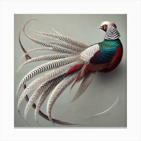 Pheasant 1 Canvas Print