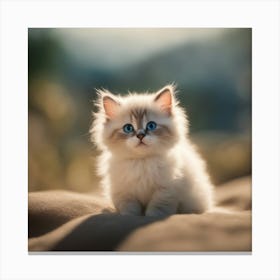 Kitten With Blue Eyes Canvas Print