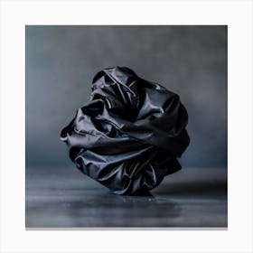 Black Plastic Ball Canvas Print