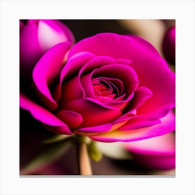 Pink Rose Canvas Print