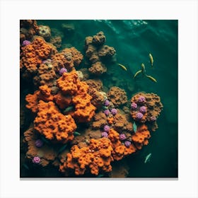 Coral Reef7 2 Canvas Print