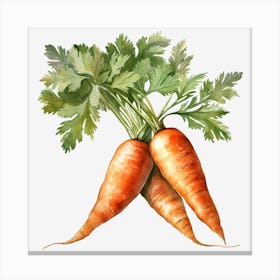 Carrots 2 Canvas Print