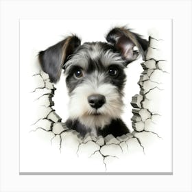 Schnauzer Canvas Print