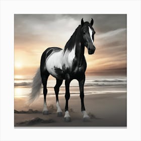 Black And White Horse On The Beach Canvas Print