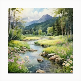 Mountain Stream 2 Canvas Print