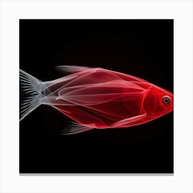 Fish - Fish Stock Videos & Royalty-Free Footage Canvas Print