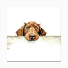 Wirehaired Vizsla Dog Canvas Print