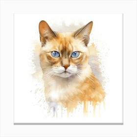 Burmese Champagne Cat Portrait 1 Canvas Print