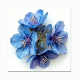 Blue Geranium Flower Toile