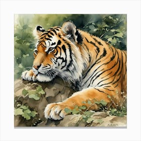 Tiger 2 Canvas Print