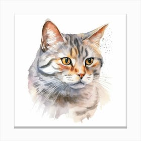 Russian Shorthair Cat Portrait 1 Canvas Print