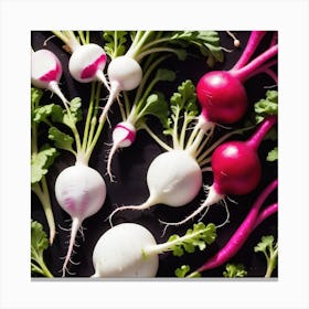 Radishes 49 Canvas Print