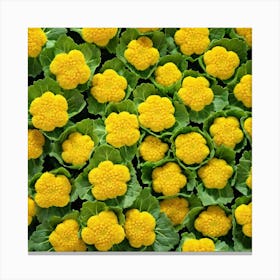 Yellow Carnations 1 Canvas Print