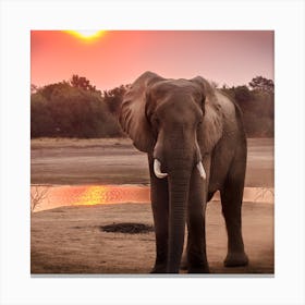 Elephant At Sunset Canvas Print