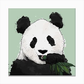 Panda And Bamboo Square Canvas Print