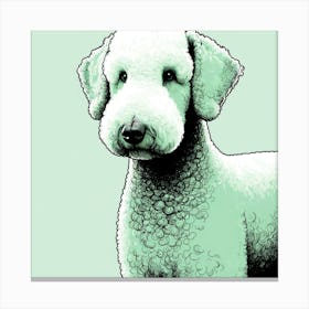 Green Drawing Dog Bedlington Canvas Print