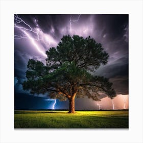 Lightning Tree 18 Canvas Print