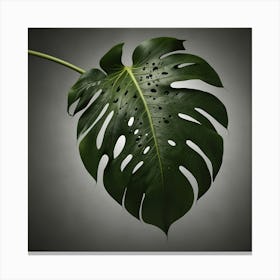 Monstera Leaf 2 Canvas Print