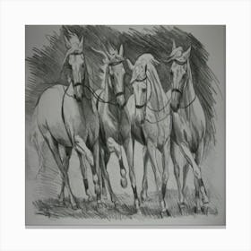 Four Horses Running Canvas Print
