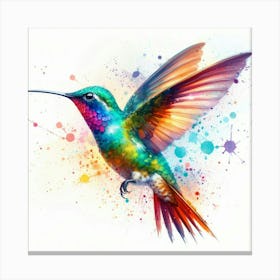 Colorful Hummingbird 4 Canvas Print