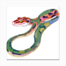 Red Tailed Boa Snake 05 Canvas Print