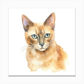 Burmese Champagne Cat Portrait 2 Canvas Print