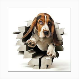 Basset Hound Canvas Print