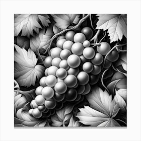 Black And White Grapes 1 Canvas Print