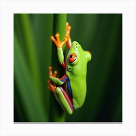 A Vibrant Green Tree Frog Clinging To A Leaf 2 Canvas Print