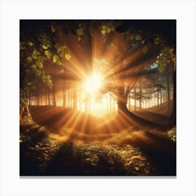 Sunrise In The Forest Canvas Print