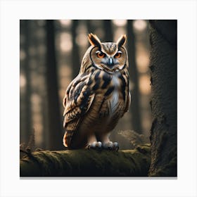 Owl In The Forest 14 Canvas Print