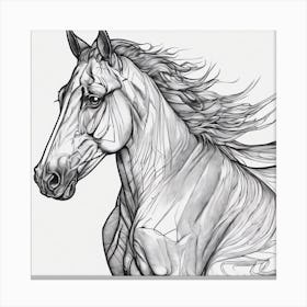 Horse Drawing Canvas Print