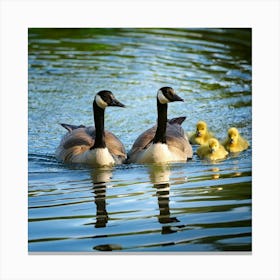 Firefly Baby Ducklings And Canadian Geese Swimming Together 57546 (2) Canvas Print