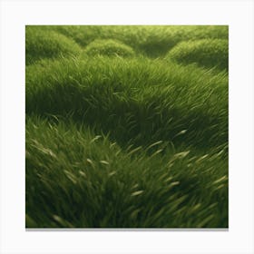 Grass Field 15 Canvas Print