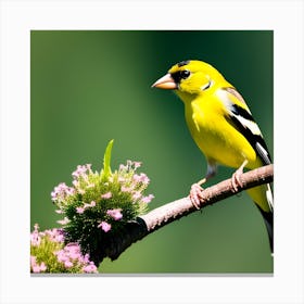 Goldfinch 13 Canvas Print