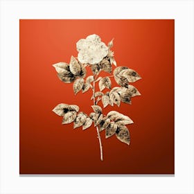 Gold Botanical Leschenault's Rose on Tomato Red n.1242 Canvas Print