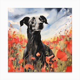 Black Greyhound portrait in Poppy Field Canvas Print